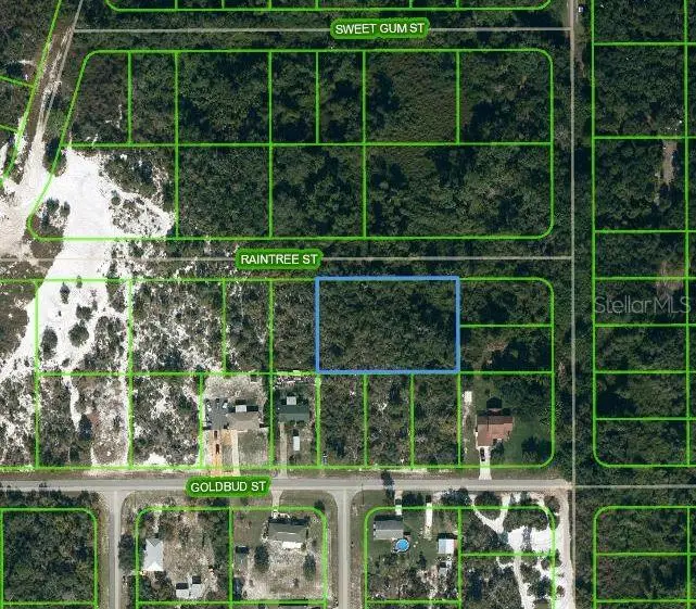 1515 Raintree St, FL