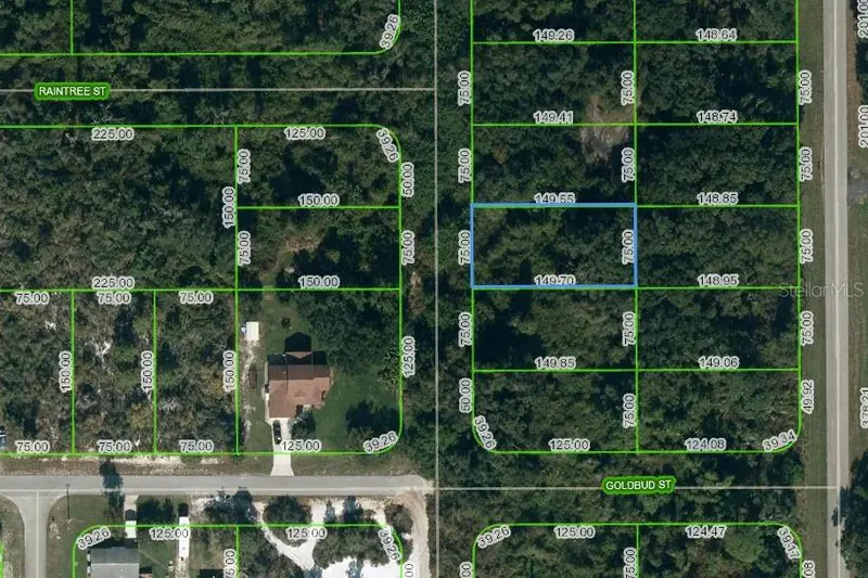 251 Marshall Ave, FL