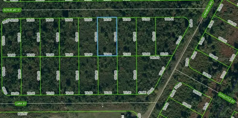 1431 Scrub Jay St, FL
