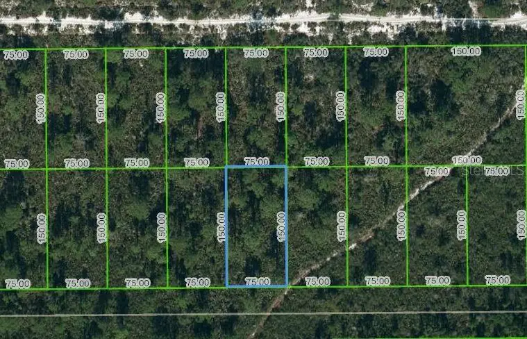 1442 Bittersweet St, FL