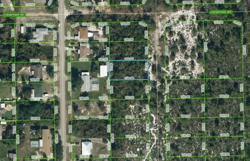 252 Sandpiper St, FL