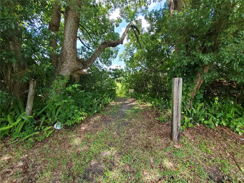 Woodland Ave, FL