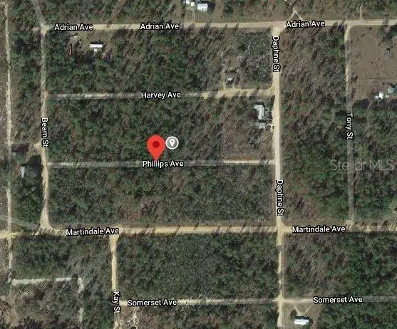 00 Phillips Ave, FL