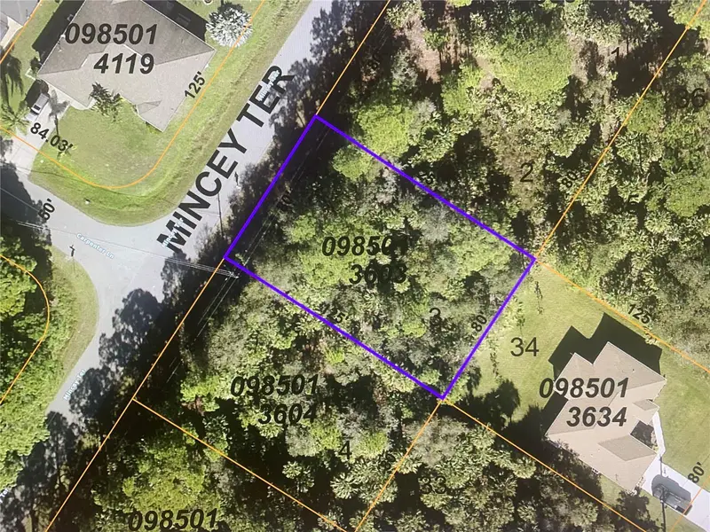 Lot 3 Mincey Ter, FL