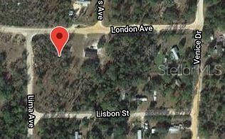 115 London Ave, FL