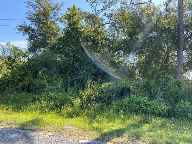 Illinois Ave, FL