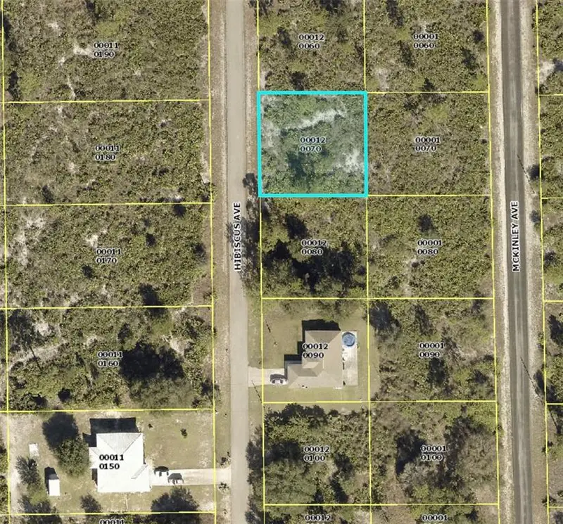 1610 Hibiscus Ave, FL