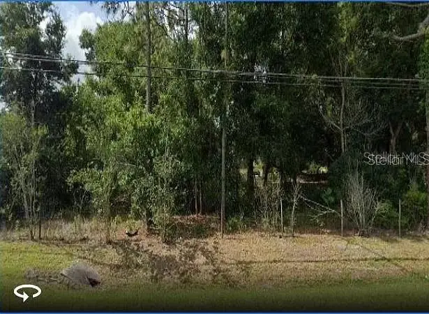 10336 Buck Rd, FL