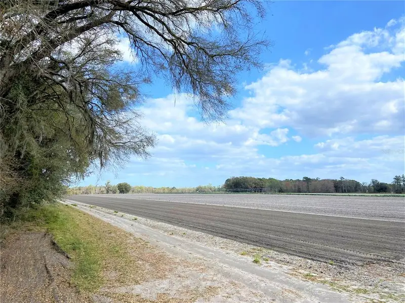 24103 Nw County Road 239, FL