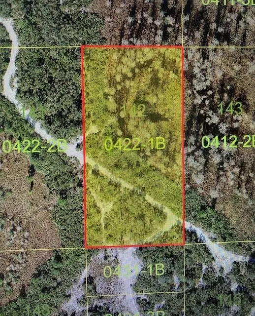 Holopaw Groves Road, FL