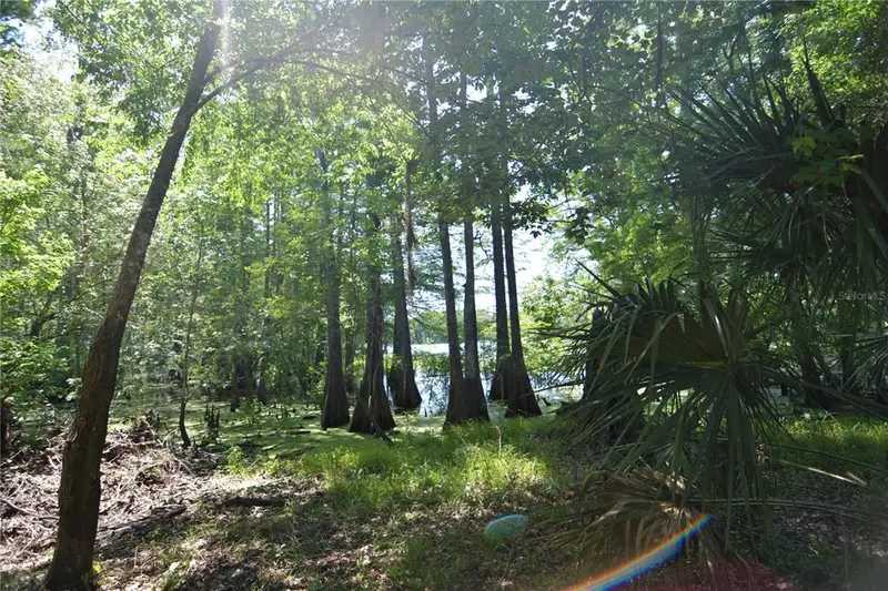Sw 64th Ave, FL