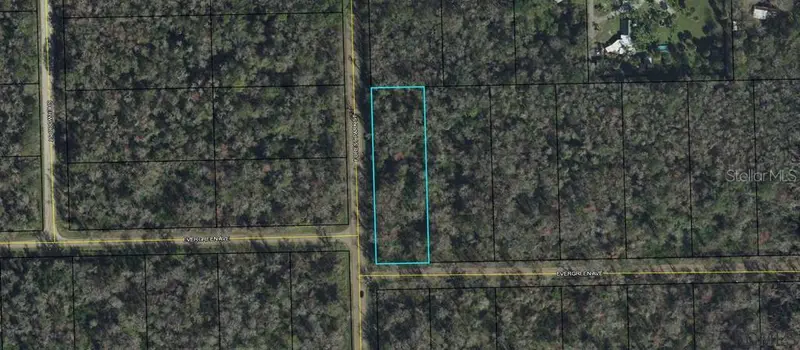 3936 Evergreen Avenue, FL