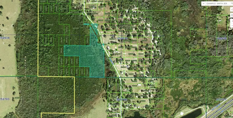 Polk City listing