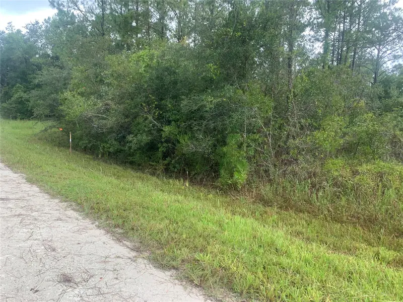 Tbd Otter Dr #Lot 44, FL