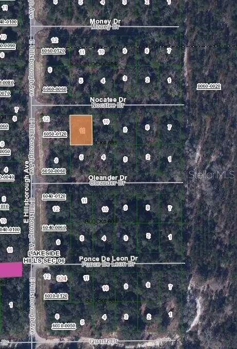 103 Nocatee Dr, FL