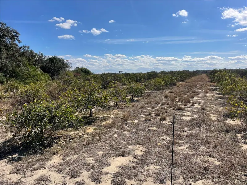 Lawrence Stewart Rd, FL