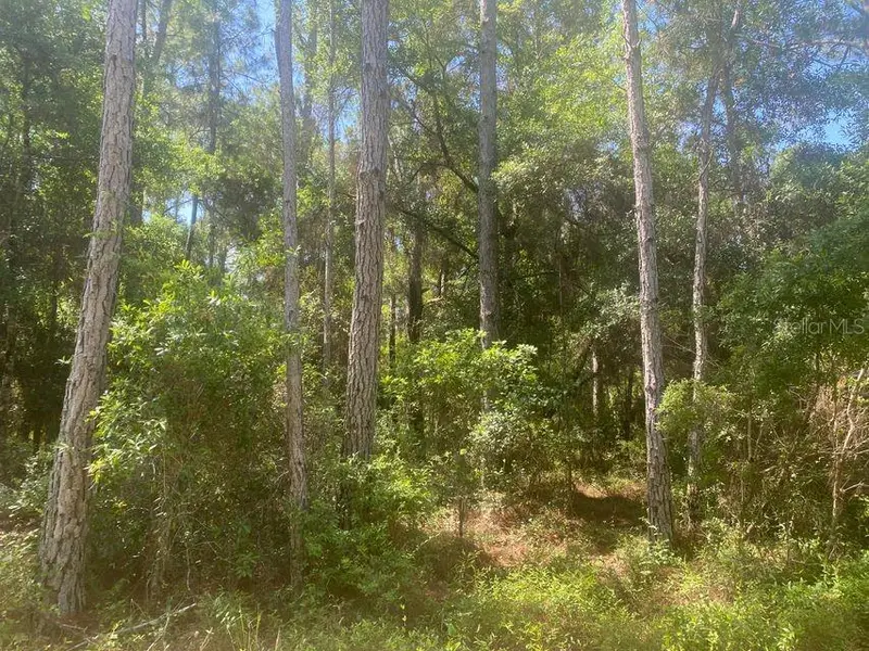 Tbd 155th Ln, FL