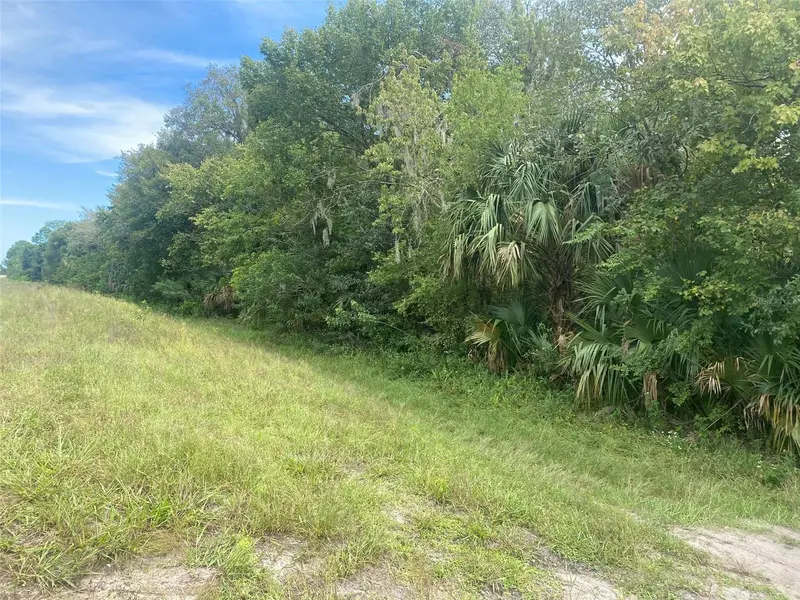 Grissom Pkwy, FL