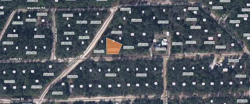 00 Dottie St, FL