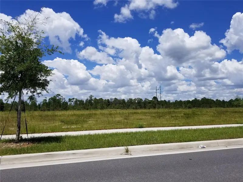 S Apopka Vineland, FL