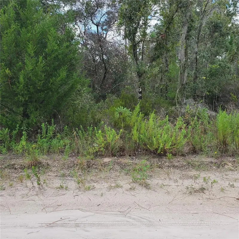 Ne 66th Ln, FL