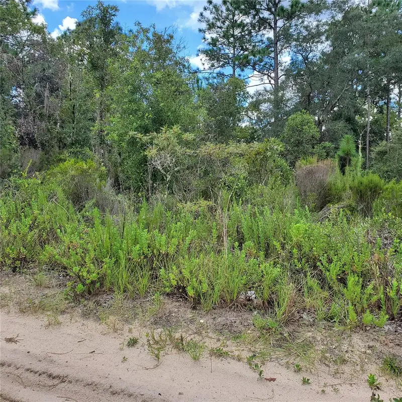 Ne 66th Ln, FL