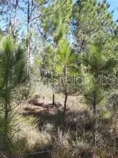Salyers Rd, FL
