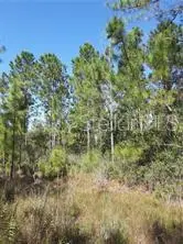 Salyers Rd, FL