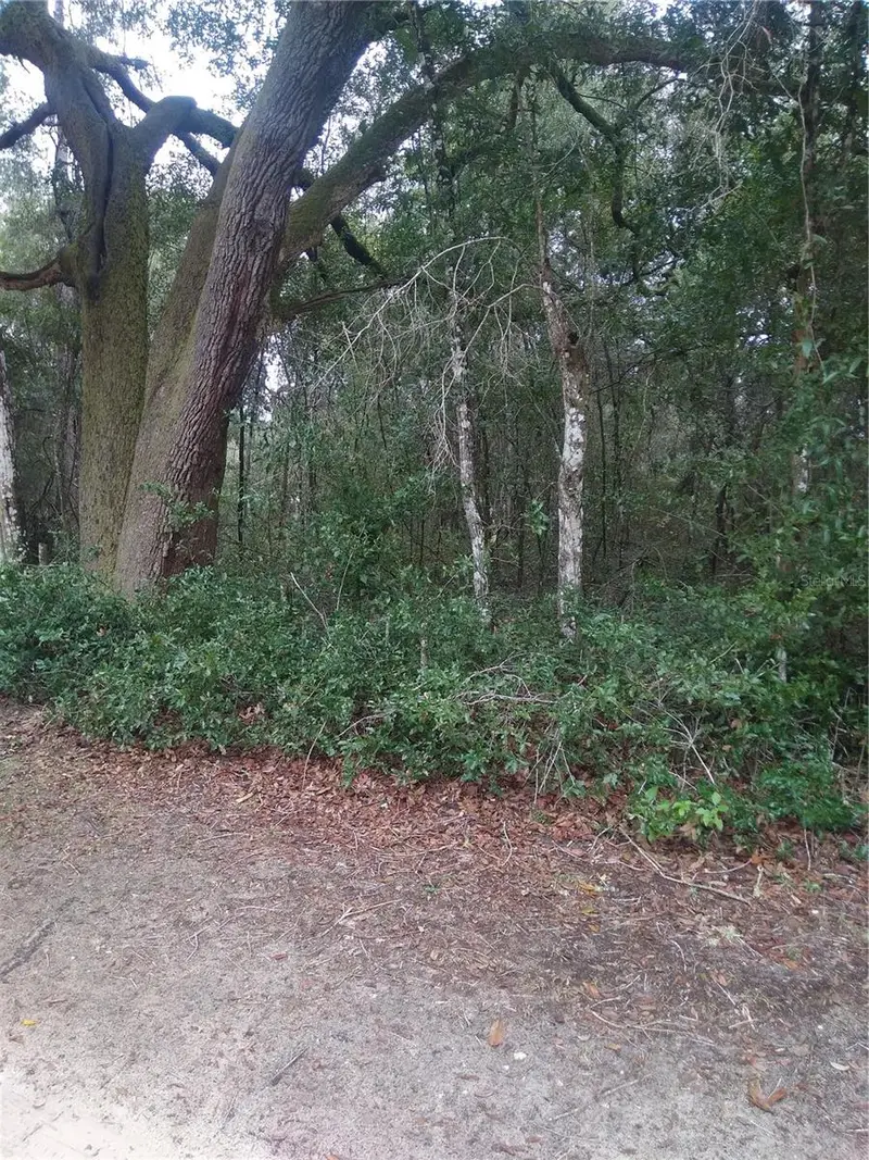 00 Ne 147th Court, FL