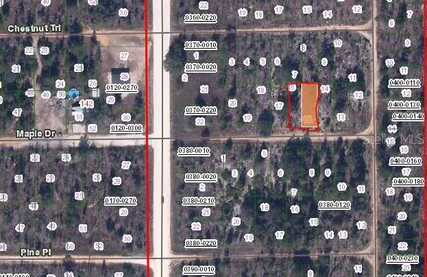 00 Maple Dr, FL
