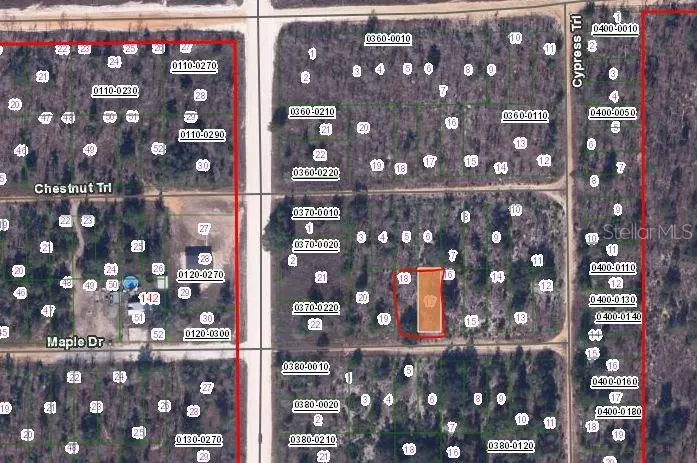 00 Maple Dr, FL