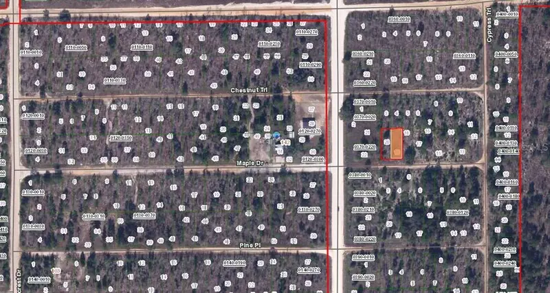00 Maple Dr, FL