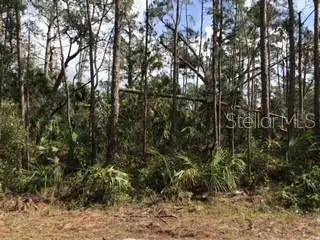 Lolly Rd, FL