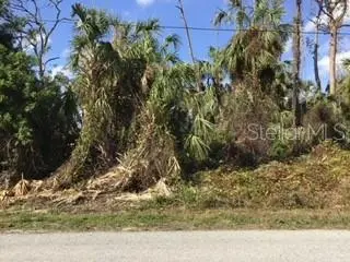 Jeannin Dr, FL