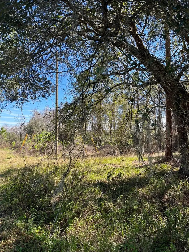 Mount Pleasant Rd, FL