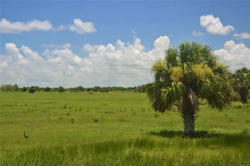 Schumann Rd, FL