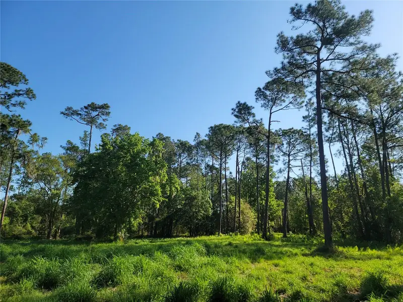 Pollard Road, FL