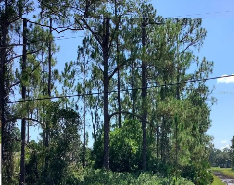 Caesar Ave, FL