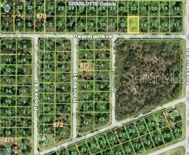 21068 Dearman Ave, FL