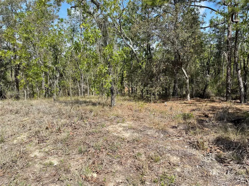 Lot 6 Se 2 St, FL