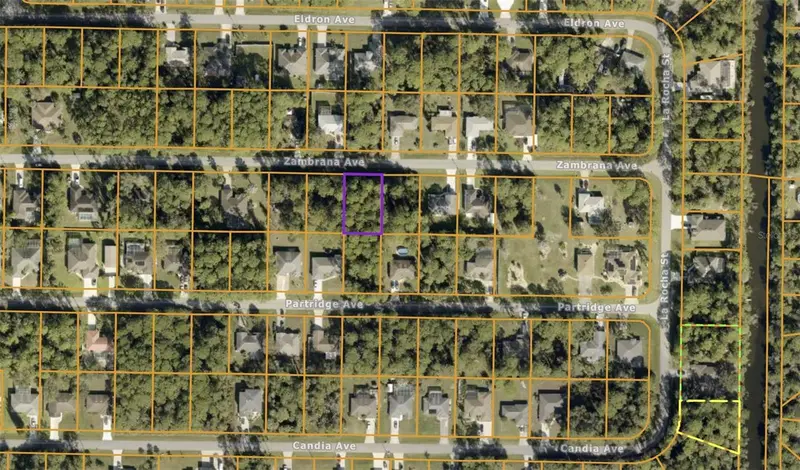 00 Zambrana Ave, FL