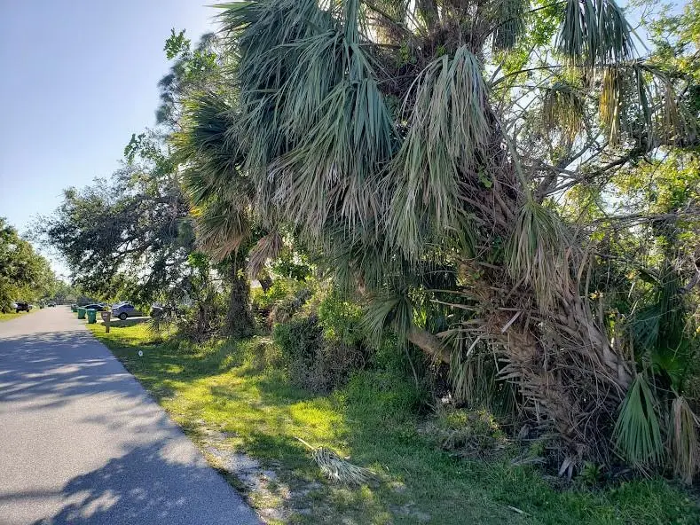 928 Tropical Ave Nw, FL