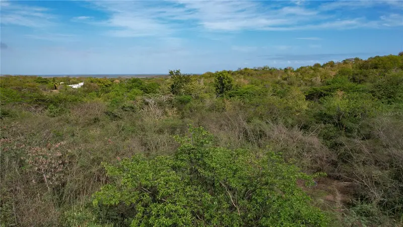 3055 Bo. Pilon, PR