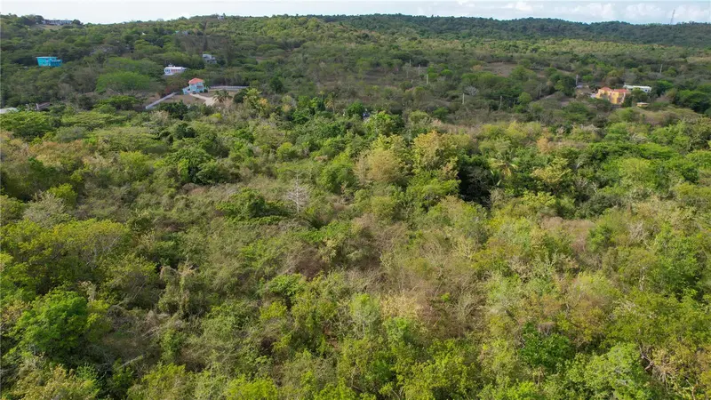 3055 Bo. Pilon, PR