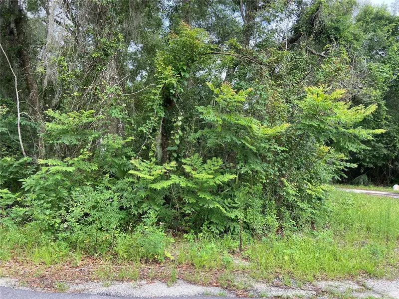 Wilson Ave, FL