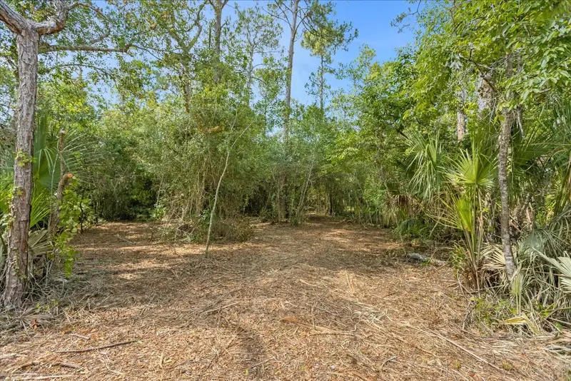Mar Lisa Cove Rd, FL