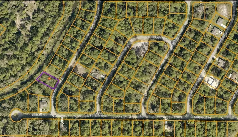 Raven St, FL