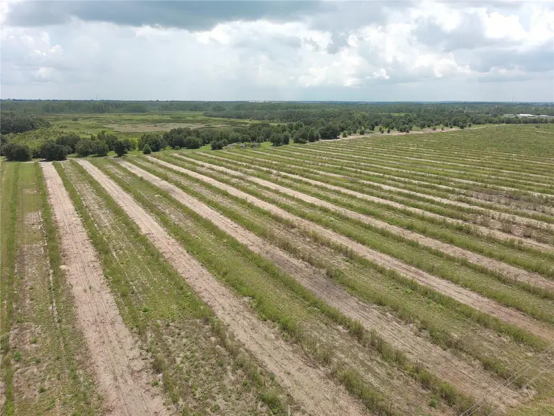 000 Kuder Ranch Rd, FL