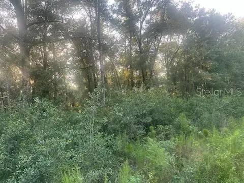 Lots 2 & 3 Sw 156 Ave, FL