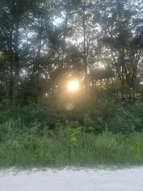 Lots 2 & 3 Sw 156 Ave, FL